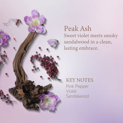 CCY Gold After Perfume Mist